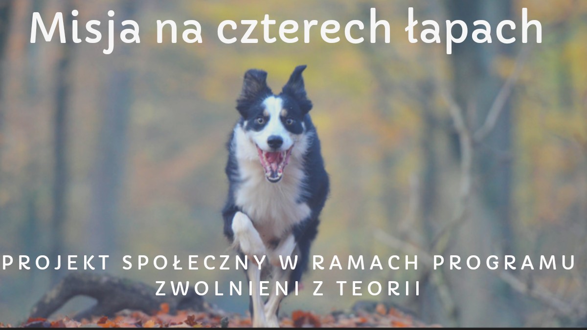 "Misja na czterech łapach" to projekt społeczny, który powstał w ramach ogólnopolskiej olimpiady "Zwolnieni z teorii". Organizują go dwie kieleckie licealistki: Dominika Nathali oraz Patrycja Malicka.