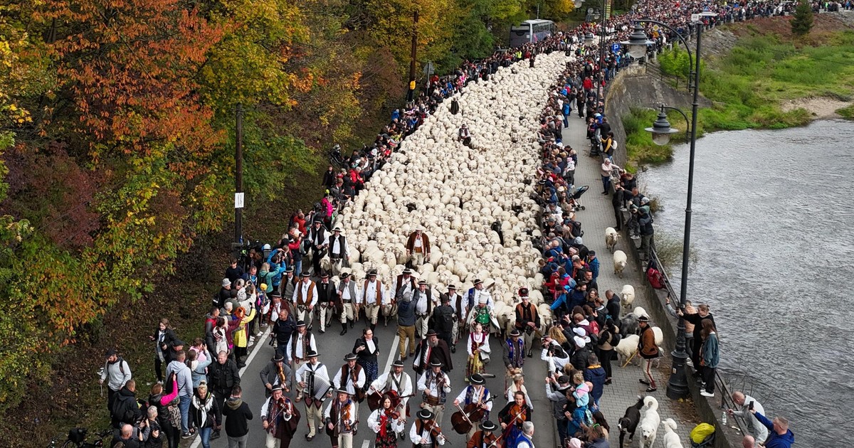 Pojechałem na wielki redyk do Szczawnicy. Czegoś takiego się nie spodziewałem. Było warto?