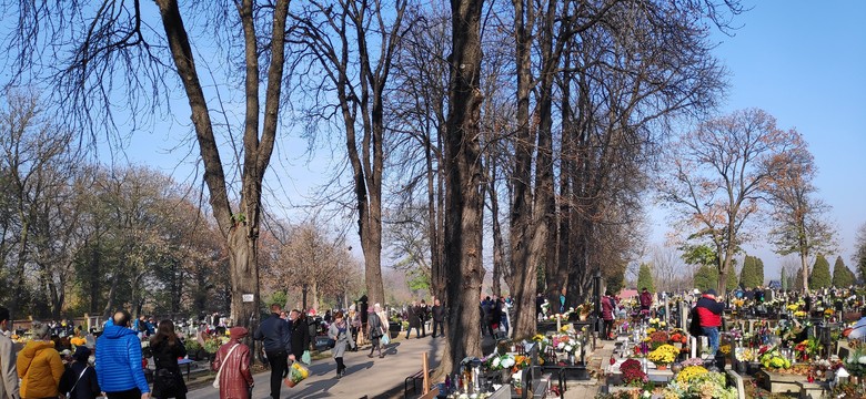 Za to grozi mandat na cmentarzu. Nawet 5 tys. zł kary