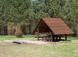 Czy pamiętasz o puszczy tuż za granicami Warszawy?