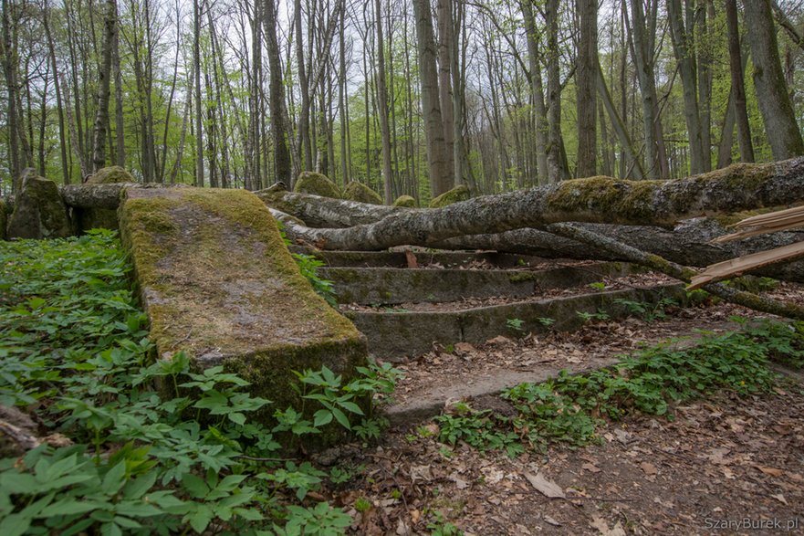 Zapomniany cmentarz Dohnów