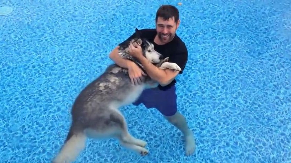 606398_haski-foto-print-screen-youtube-kronc27