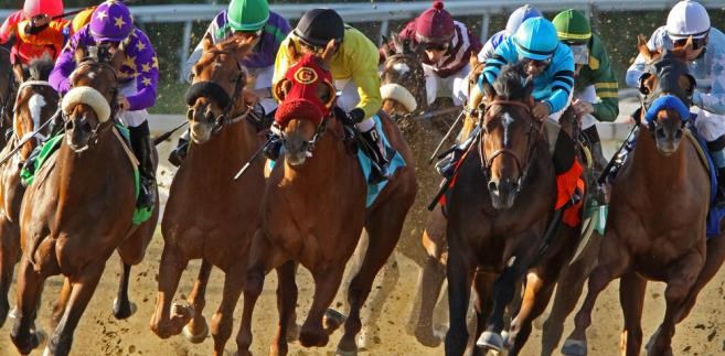 <b> Tor Wyścigów Konnych Służewiec</b><br/> To największy tor wyścigowy w Polsce i jeden z najładniejszych na świecie. Wyścigi można oglądać od wiosny do późnej jesieni.