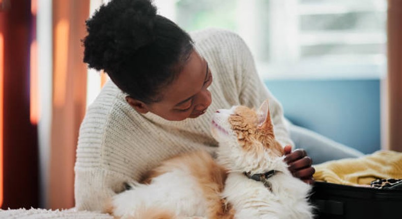 Cats are perfect companions [iStock]