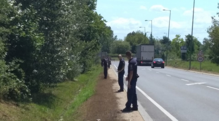 A rendőrök mindent megtettek annak érdekében, hogy az eltűnt nő nyomára akadjanak. /Fotó: Police.hu