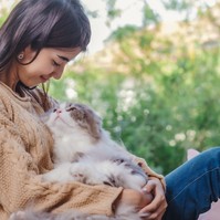 Ilyen hatással lehet egészségünkre a macskadorombolás