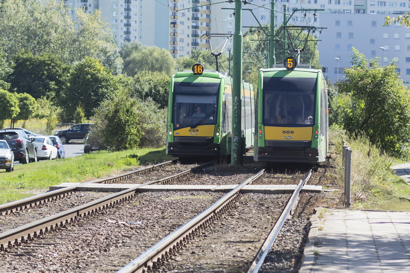 ZTM przejmuje torowiska