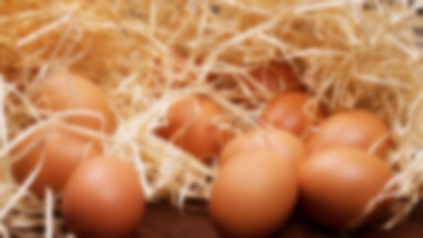 Ostrzeżenie. Salmonella w jajach ściółkowych firmy Polskie Fermy