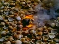 Spadło na izraelską plażę. Co to?