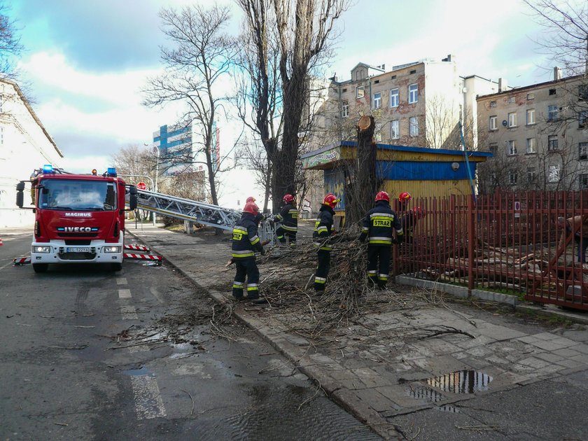 Wichura w Łodzi. Konar spadł na auto