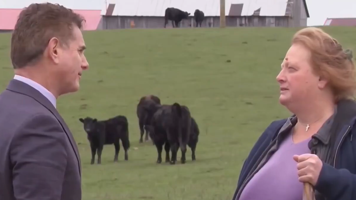 Nudili im silne milione za zemlju, ali one rekle 