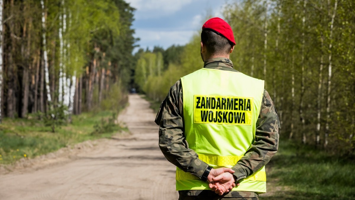 Żołnierz Żandarmerii Wojskowej w lesie w Zamościu pod Bydgoszczą, w którym znaleziono tajemniczy obiet