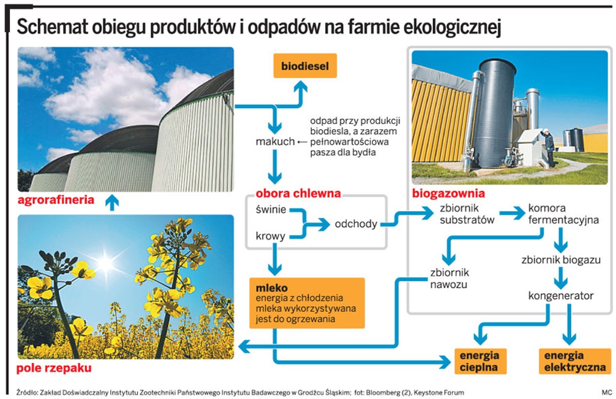 Schemat obiegu produktów i odpadów na farmie ekologicznej