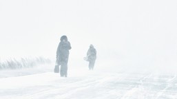 -56 stopni w jakucji. syberia stała się najzimniejszym miejscem na zie