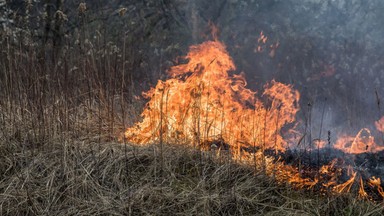 Nie wypalaj traw! Możesz zapłacić 20 tys. zł kary