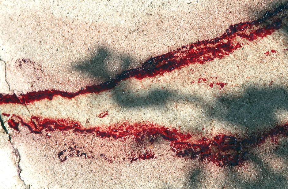 Tragovi krvi od tragedije u Aleksincu