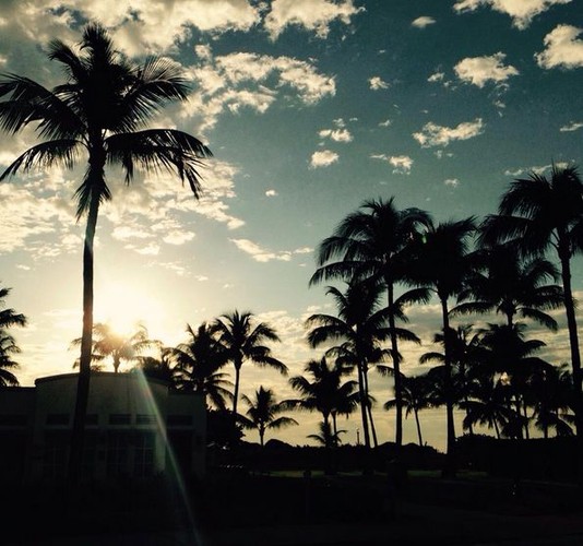 Edyta Górniak zabrała syna do Miami