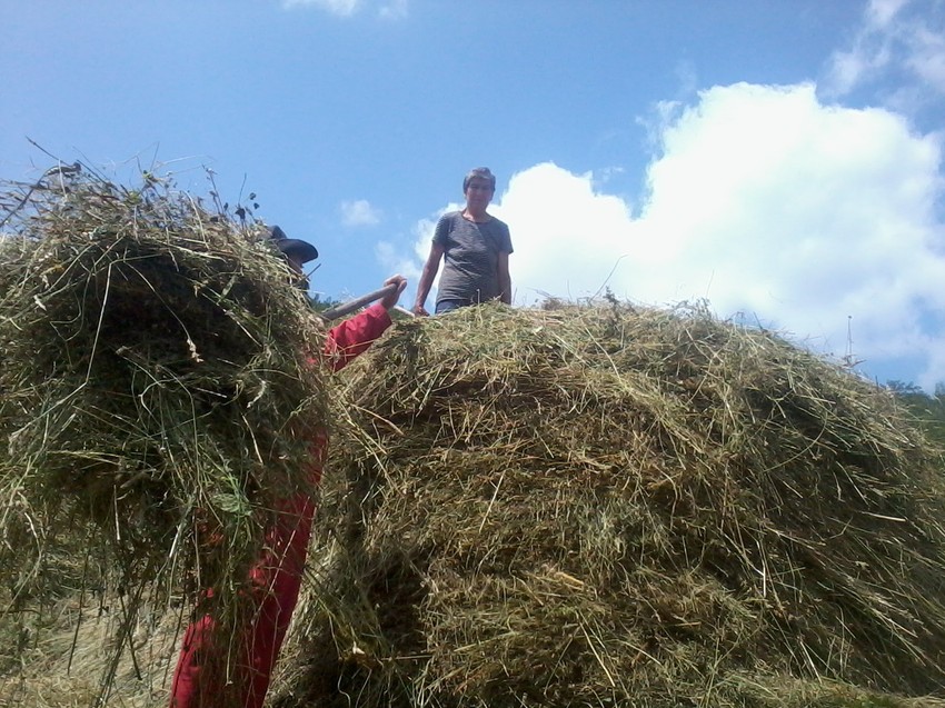 Otud kiša ne dolazi: Oblaci iznad Somine