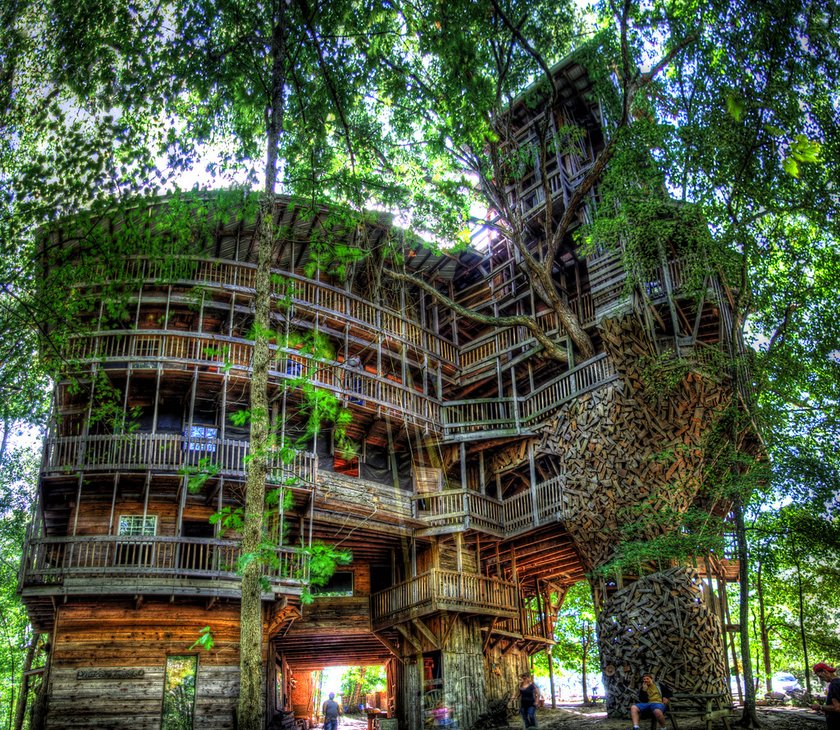 Horace Burgesss Treehouse