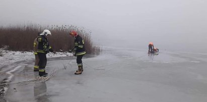 Pies utknął na krze. Na ratunek było za późno