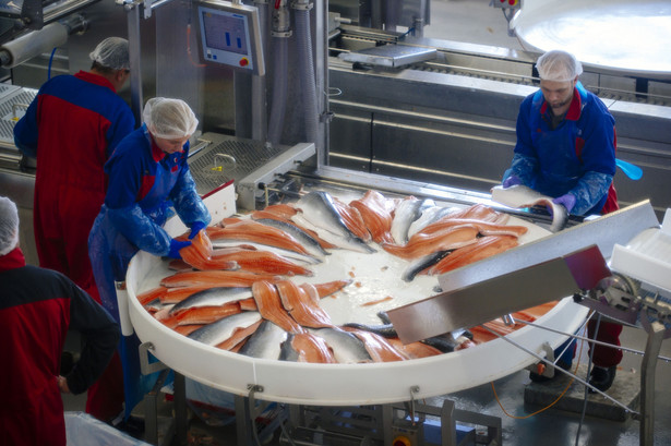 Komisja Europejska poinformowała producentów łososia z Norwegii o swojej wstępnej opinii, zgodnie z którą naruszyli oni przepisy antymonopolowe UE.