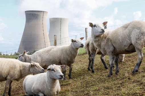 Elektrownia atomowa w belgijskim Doel