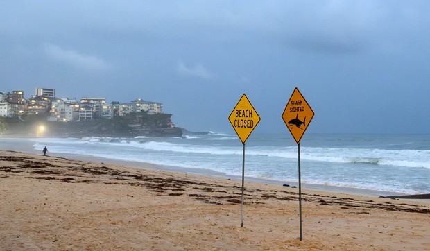 Zatvorena plaža u Australiji zbog napada ajkule