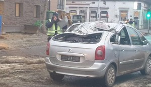 Taksi vozilo na koje je palo drvo Bačkoj Topoli