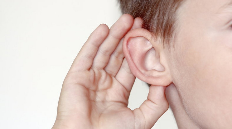 Néhány trükkel kiküszöbölhető a halláskárosodás/Fotó:Northfoto
