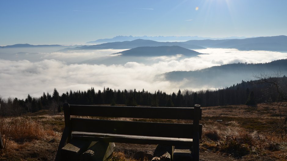 Beskid Wyspowy, Polana Stumorgowa. Ławeczka z widokiem na Tatry i Gorce. 