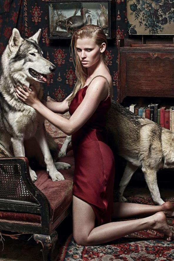 Egy kép Kate Moss divatanyagából: Lara és a farkasok