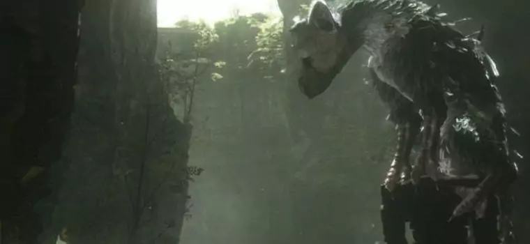 Tak, The Last Guardian wyjdzie w tym roku!