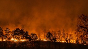 Pożary lasów w państwach Unii Europejskiej. Rok 2025 pobił rekordy