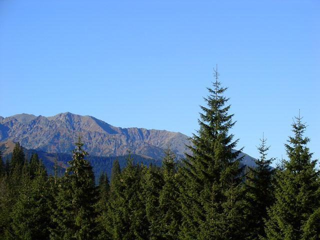 Galeria Tatry - piękno i moc natury, obrazek 15