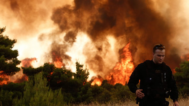 Pożary w Grecji. Tysiące mieszkańców i turystów zmuszonych do ewakuacji [ZDJĘCIA]