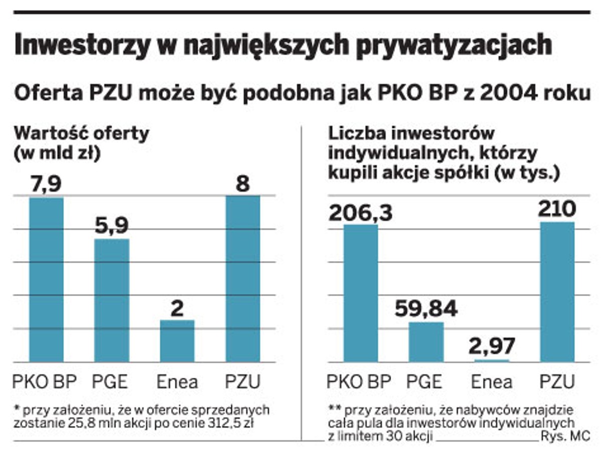 Inwestorzy w największych prywatyzacjach
