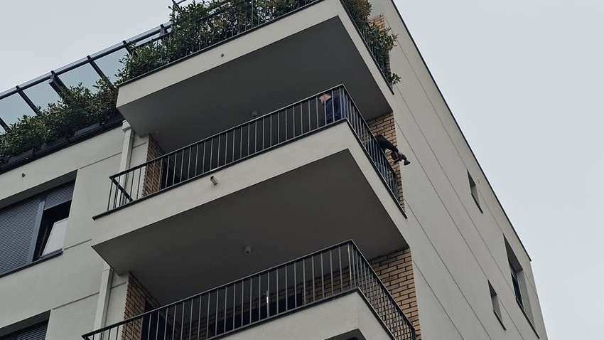 Progovorile komšije Marka Miljkovića