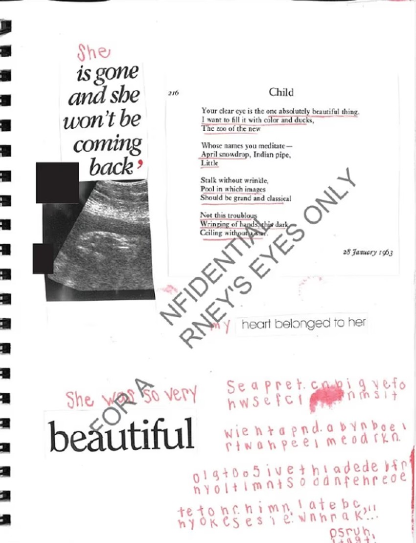 Dnevnik Epstajnove žrtve koja je rodila devojčicu