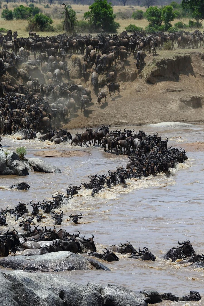 2. Masai Mara, Kenia 