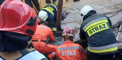 Dramat na Kujawach. Zawalił się strop nad oborą. Sześć krów straciło życie [ZDJĘCIA]