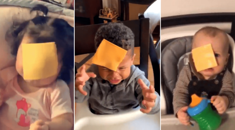 #cheesechallenge