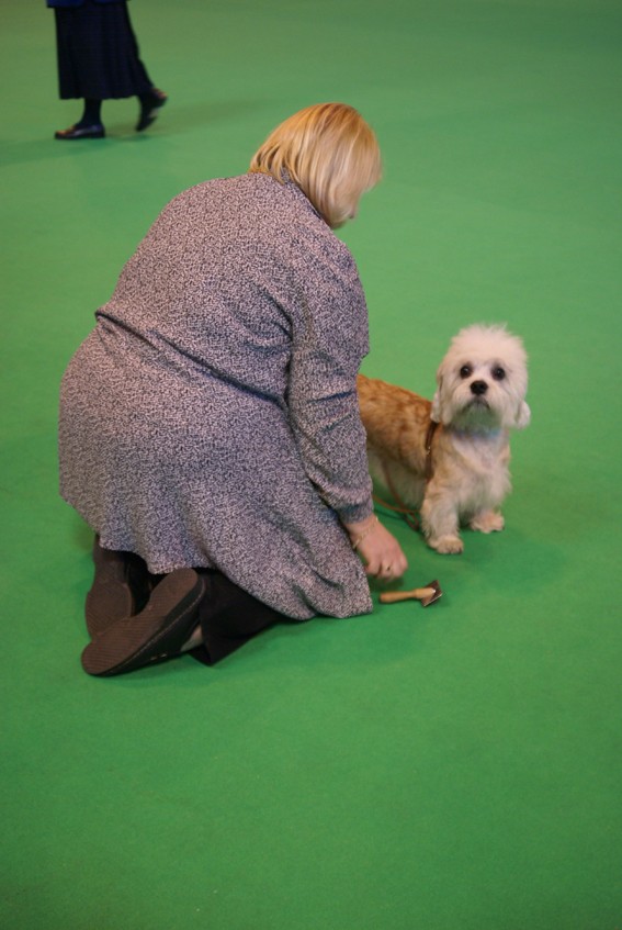 CRUFTS osobliwości