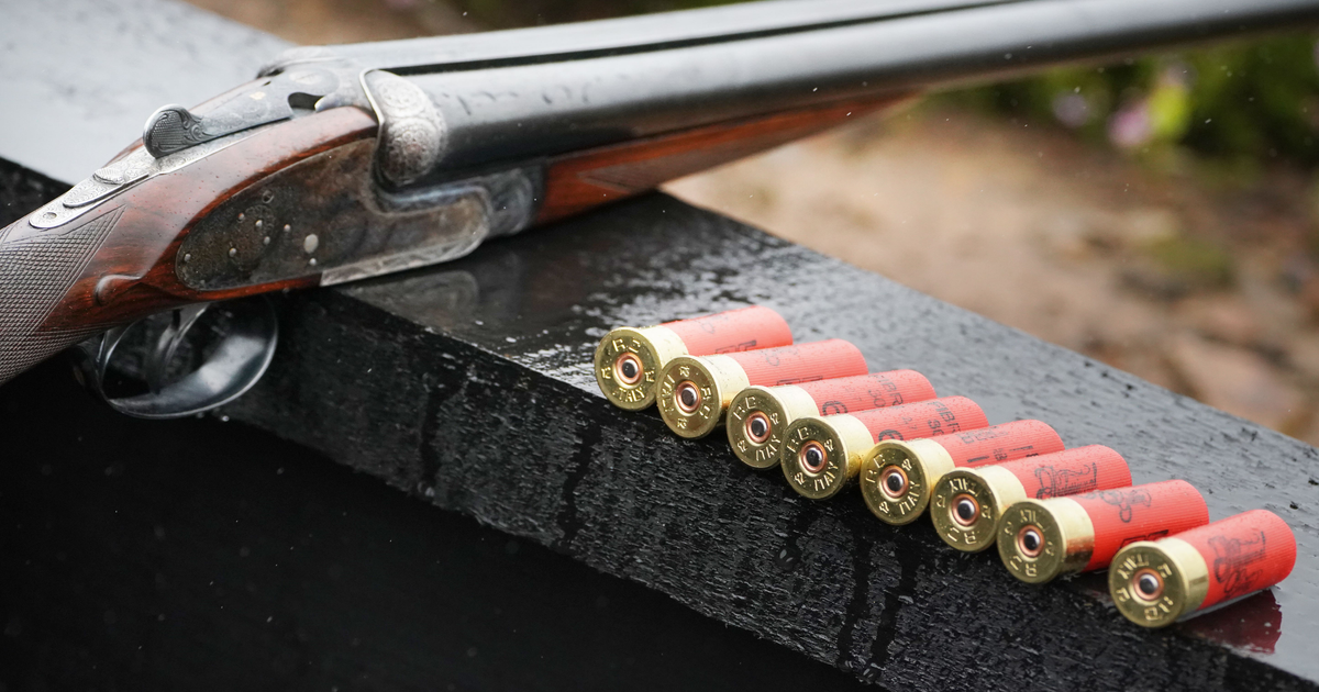 UK-restricts-lead-ammunition-to-save-wildlife