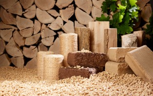 Ile obecnie kosztuje tona drewna opałowego w Polsce? Oto ceny w Lasach Państwowych, u prywatnych sprzedawców i w marketach w 2025 roku