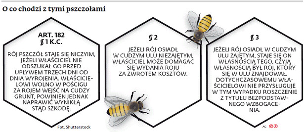 O co chodzi z tymi pszczołami