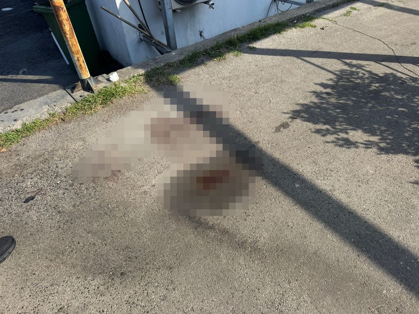 Pucnjava u ulici Džona Kenedija