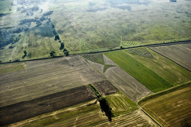 land art, sztuka, instalacje, natura, biała podlaska