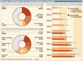 Rok 2008 był najlepszy dla polskiego internetu, 2009 będzie znacznie trudniejszy dla całej branży