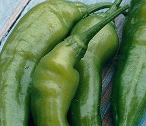 jalapenopepper-d0000007664a6442585d4
