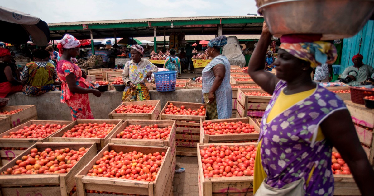 Ghana deepens Spain partnership to scale tomato production and cut import reliance